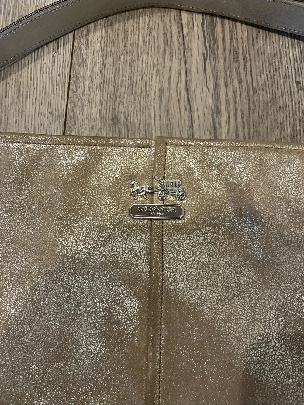 Coach Chelsea Metallic Leather Katarina Shimmer Hobo Shoulder Bag Champagne